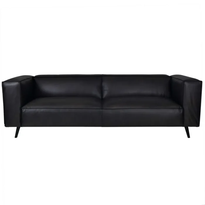 Fumee Leather Sofa