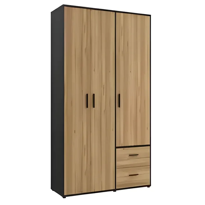 3 Doors with 2 Drawers Wardrobe